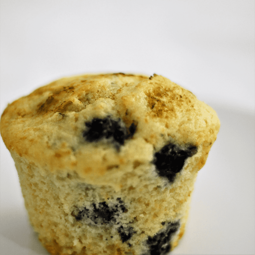 Ultimate Blueberry Muffin